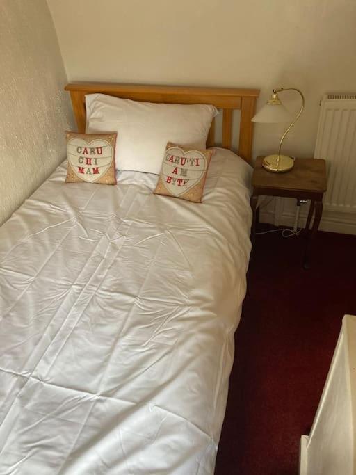 Lovely Peaceful 2 Bed Cottage Llandderfel Екстериор снимка