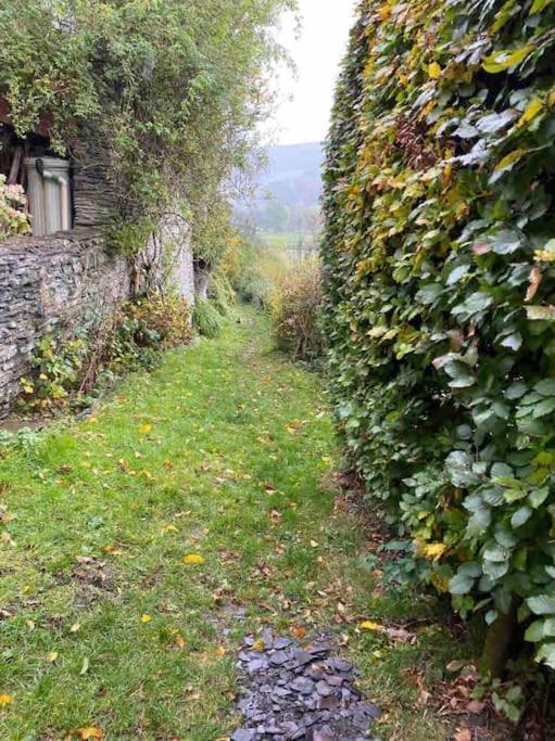 Lovely Peaceful 2 Bed Cottage Llandderfel Екстериор снимка